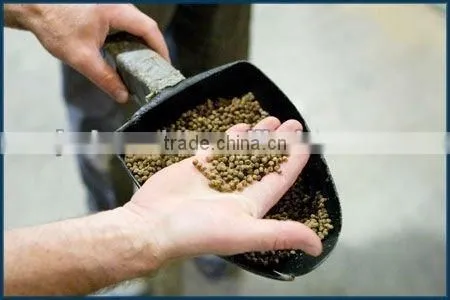 CE Floating Fish Feed Pellet Machine/floating Fish Feed Extruder Machine photo-4