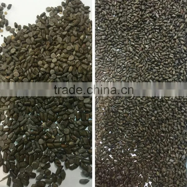 ZRWS Intelligent CCD Semen Cassiae Color Sorter Machine photo-2