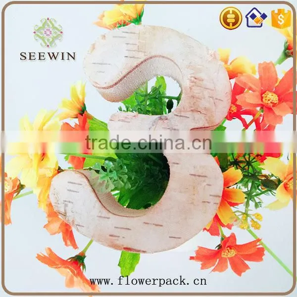 White Birch is Used for the Number of Child Recognition photo-3