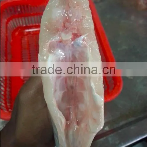 Frozen Leatherjacket Fish HGT photo-4