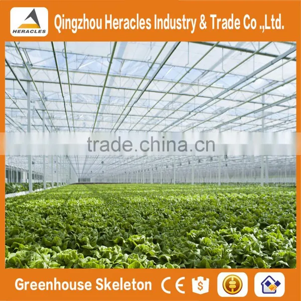 Heracles Trade Assurance Agricultural Commercial Greenhouse for Sale photo-3