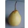 Ya Pear
