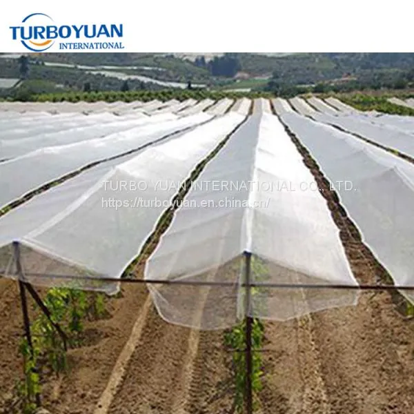 White Woven Plastic Hail Protection Network Netting for Fruit Apple Tree / Outdoor Tomatoes Protection