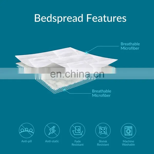 Delicate Multi Purpose Movable Woven 100% Microfiber Polyester Quilt Bedspread Set photo-3