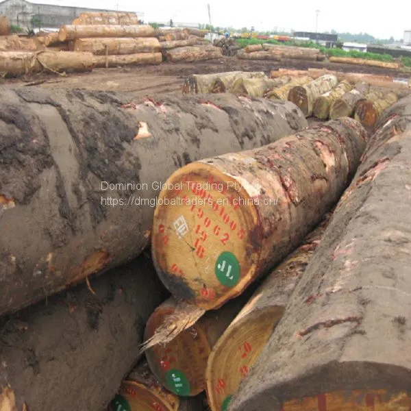 IROKO WOOD PADOUK, SAWN TIMBER WENGE, DOUSSIE, SAPELLI, AZOBE, ZEBRANO ROUND LOGS AVAILABLE FOR EXPORT photo-4