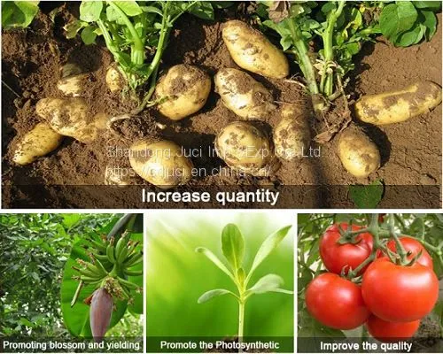 Organic Water Soluble Fertilizer Corn Steep Liquor Powder for Liquid Organic Fertilizer Corn Steep Powder photo-3