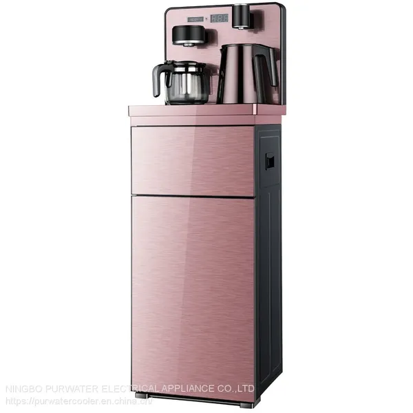 Multi Function Water Dispenser