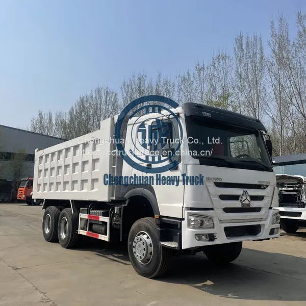 HOWO Sinotruk 371HP 6X4 Type 10 Wheels Used/New Tractor Truck Head photo-4