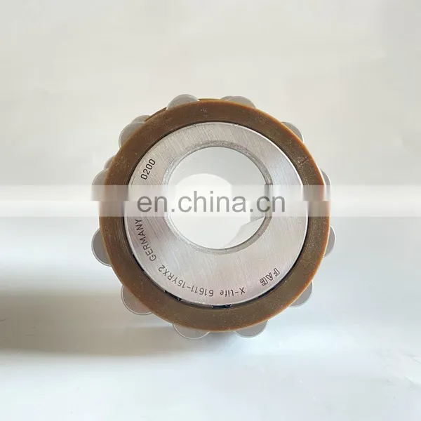 616 11-15 Yrx2 FAG Double Row Overall Eccentric Roller Bearing 61611-15 Yrx2,61611-15yrx2 Special Bearing For Reducer photo-2