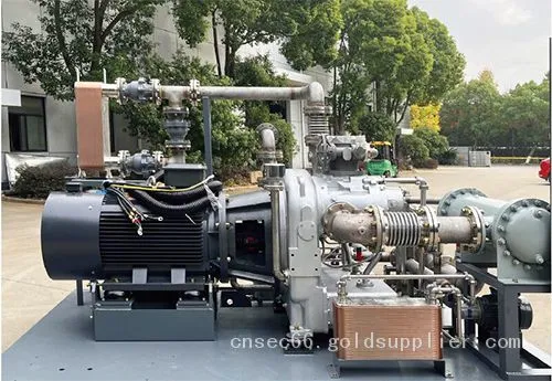 Dry Type Oil Free Air Compressor photo-4