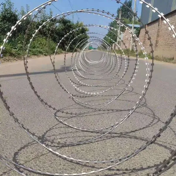 Hot Selling Galvanized Multiple Types Razor Barbed Wire photo-2