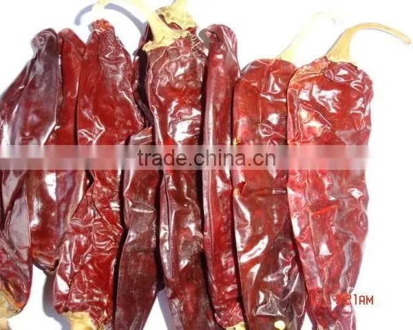 Chinese Exported Dry Sweet Paprika Whole photo-4