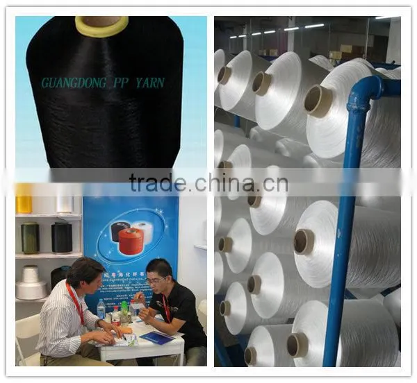 50D to 3600D PP Twisted Filament Yarn photo-3