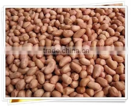 Raw Peanuts Kernel photo-2