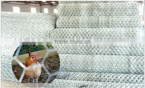 10*10electro Galvanized Hexagonal Wire Mesh Factory photo-6