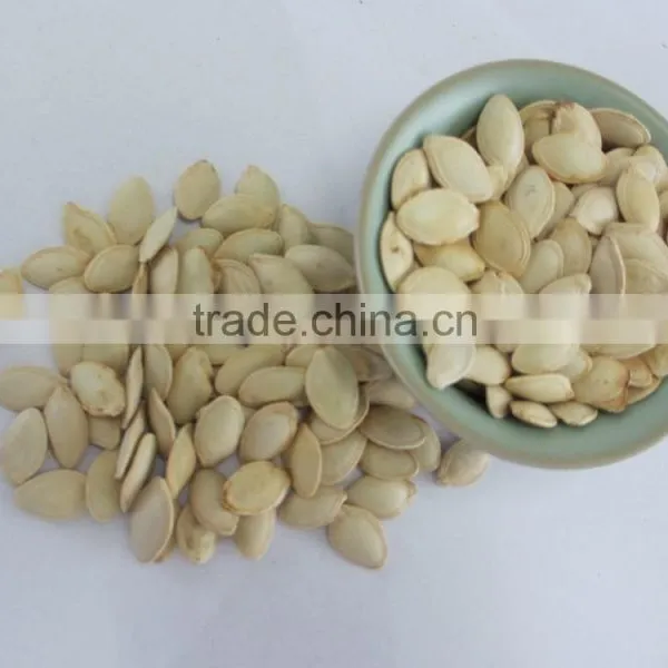 Bulk Raw Shelled Pumpkin Seeds for Sale