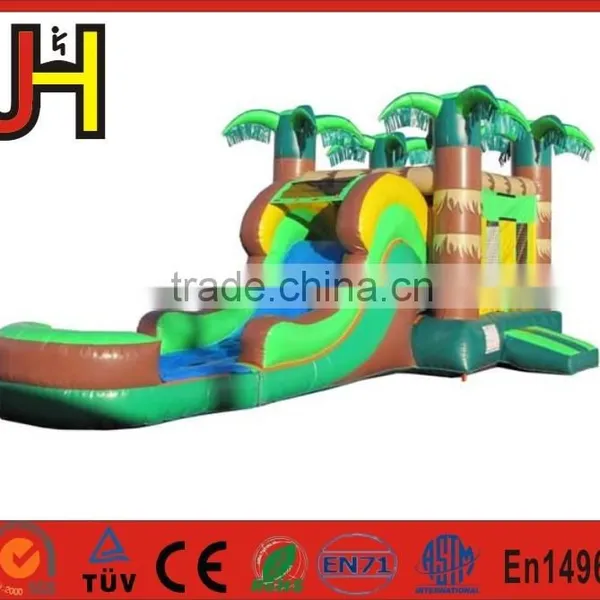 Inflatable Slides, Water Slides, Inflatable Water Slides photo-4