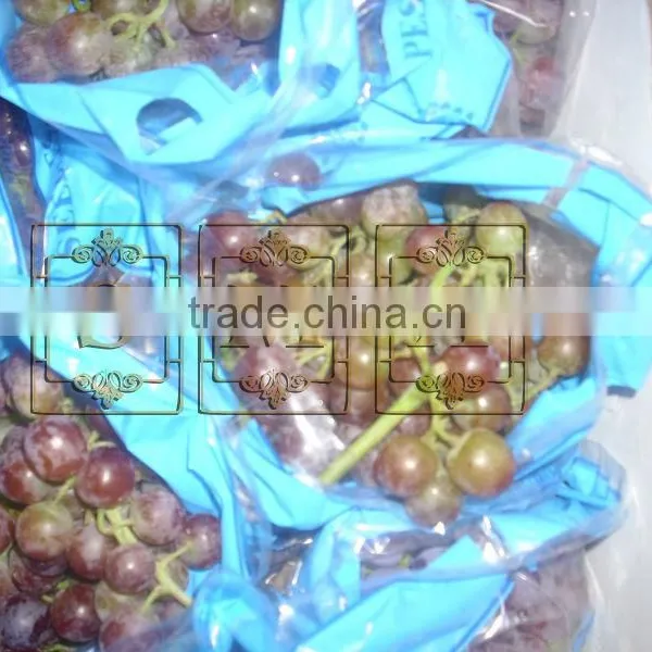Flame Grapes photo-3
