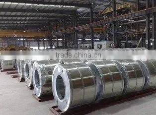 HOT DIPPED GALVANIZED STEEL COILS
