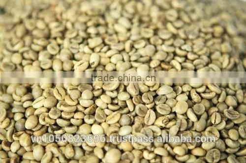 VIETNAM ROBUSTA COFFEE BEANS - GRADE 1 photo-5