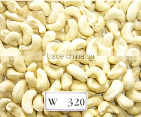 CASHEW NUT 450 WHOLE GRADE 01