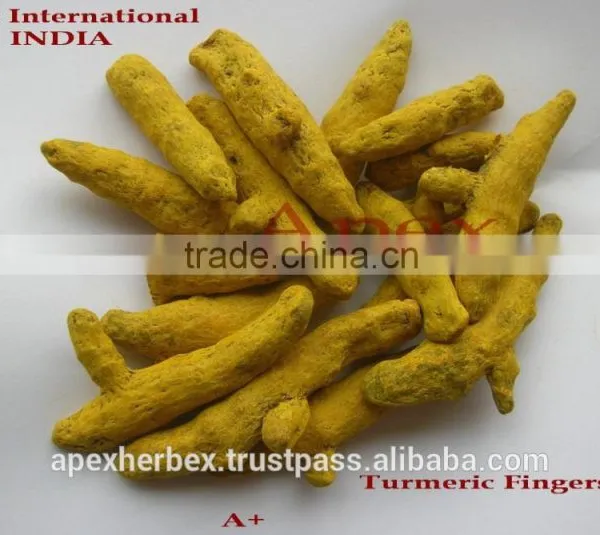 Turmeric Fingers Whole Spice / Turmeric / Curcuma Longa Fingers photo-5