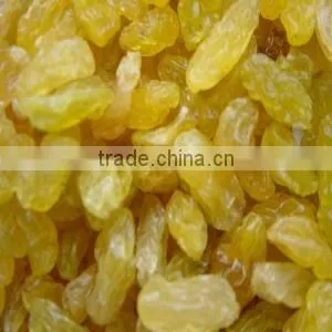 Golden Raisins