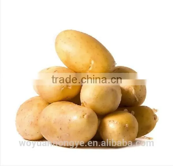 Potato photo-2