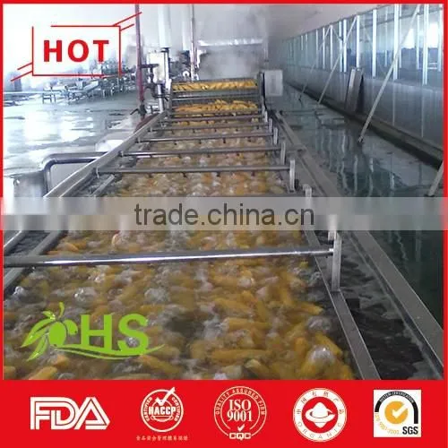 Wholesale White and Yellow Frozen Maize photo-3
