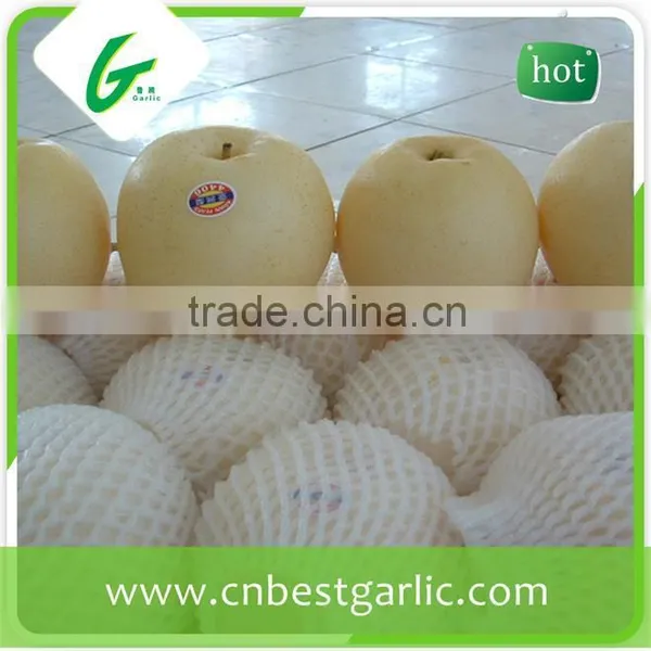 Boxing Bulk Golden Pear photo-2