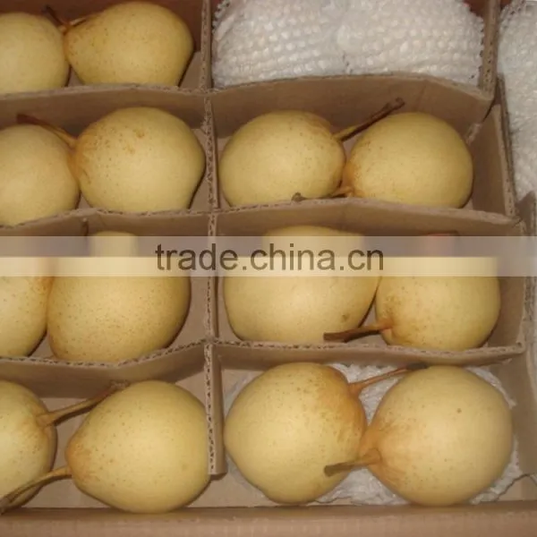 9KG Ya Pear 40-44 Specification photo-2