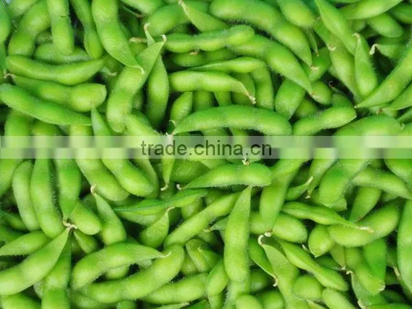 IQF Fresh Soybeans photo-2