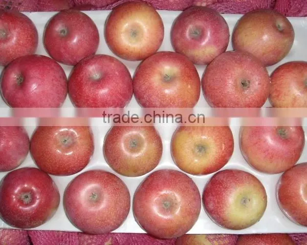 Fresh Qinguan Apple photo-6