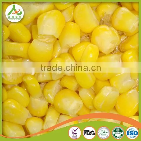 Frozen Canned Sweet Corn photo-4