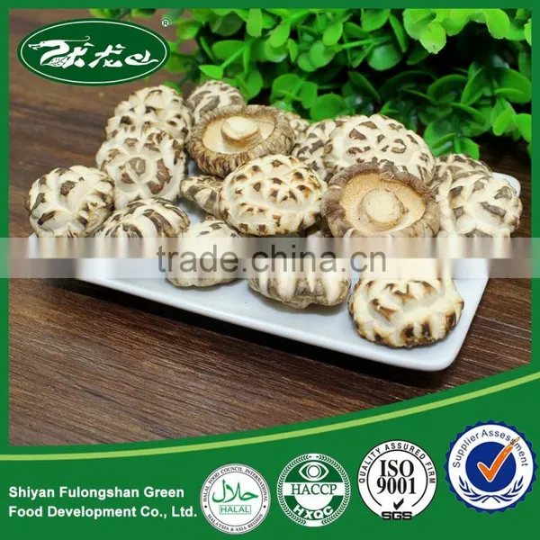 Market Prices for Mushroom Cultivation Dried white flower mushroom