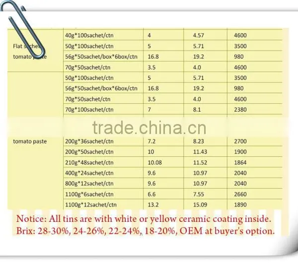 70G Pouch Low Price Tomato Paste From China Factory photo-3