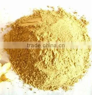 Ginger Powder Health Organic Green