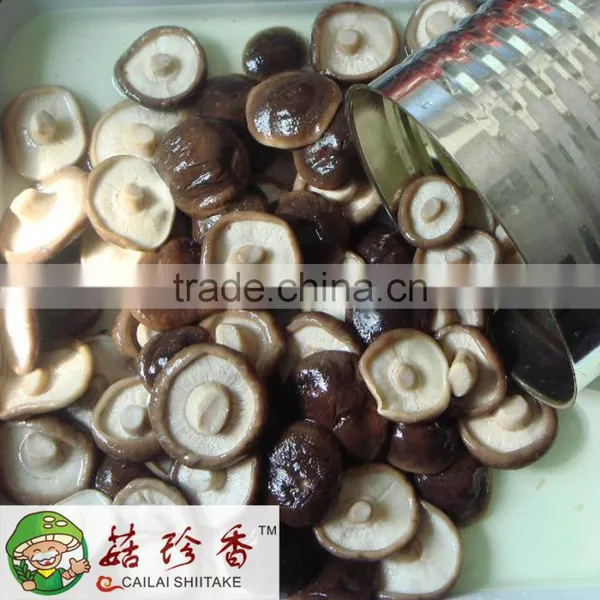 Canned Premium Shiitake Mushroom in Brine Drums