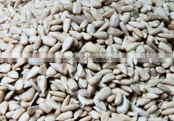 China 2016 New Crop Peeling Sunflower Seeds Kernel photo-2