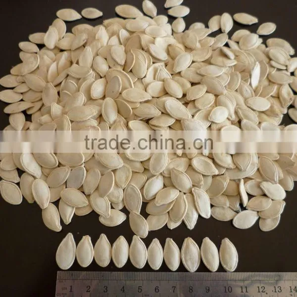 Shine Skin Pumpkin Seeds