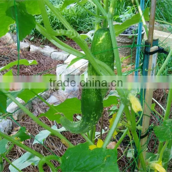 Apoio Planta Net Apoio Planta Net photo-2