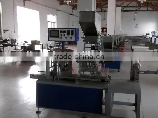 Automatic Multiple Drinking Straw Packaging Machine Model CY039 photo-6