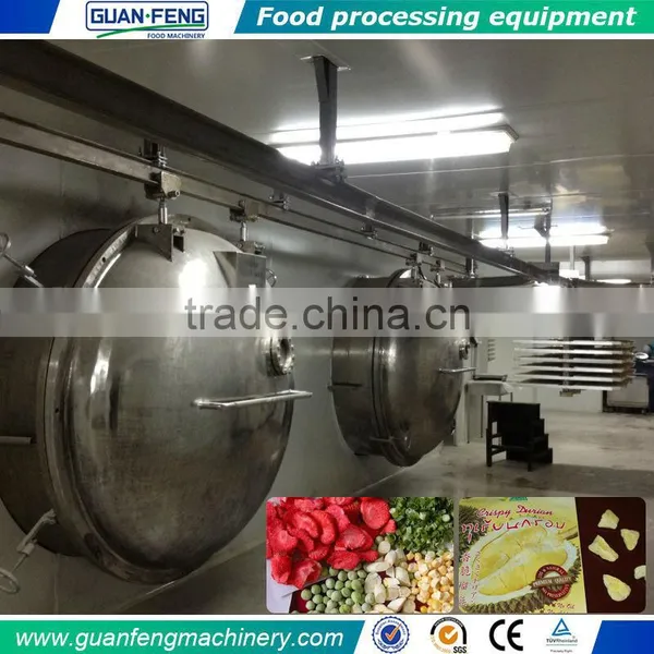 Gold Supplier China Fruit Lyophilizer Industrial Freeze Dried Food Machine photo-2
