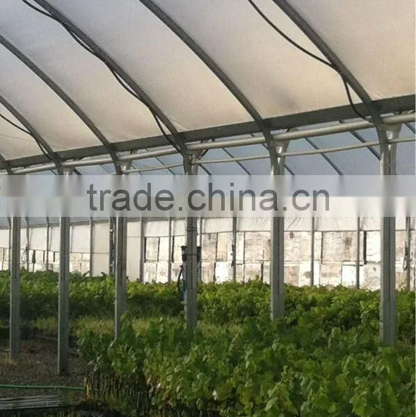 Commercial Greenhouse Multi Span Greenhouse for Sale photo-2