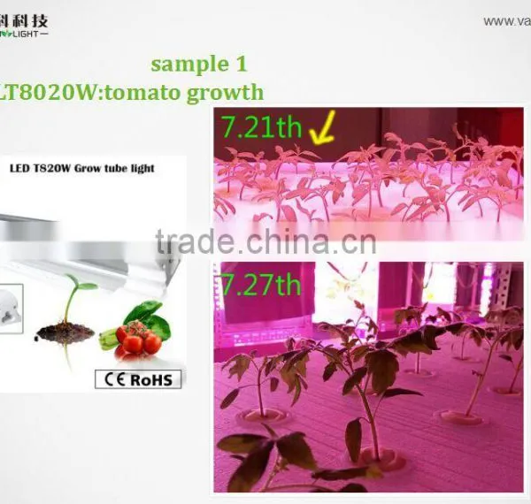the Best Grow Light for Tomatoes,vanq Integrated Seed Lights,CE,RoHS Approved photo-2