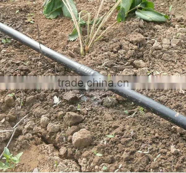 High Quality Price 16mm Drip Irrigation Pipe Coil For Farm Irrigation photo-5
