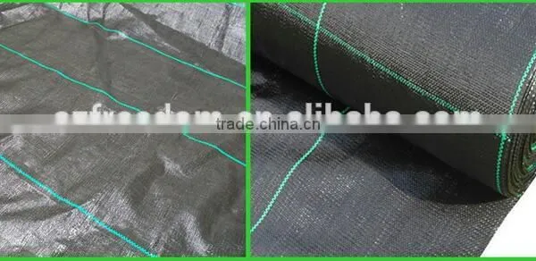 pp Weed Mat Ground Cover Fabric photo-4