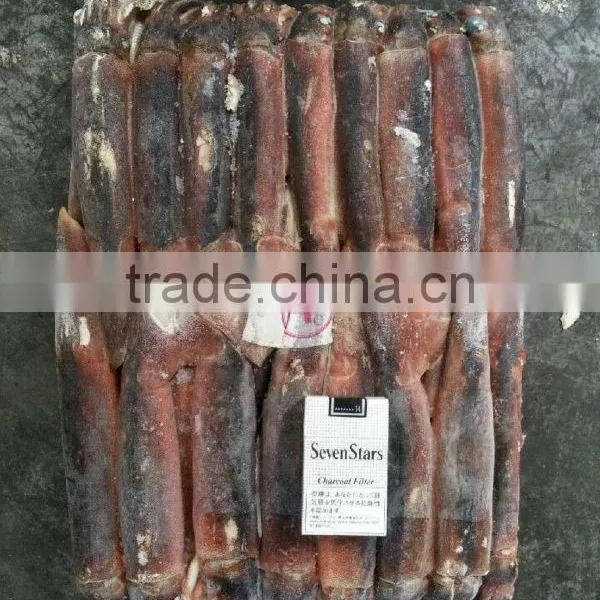 FROZEN ILLEX SQUID photo-2