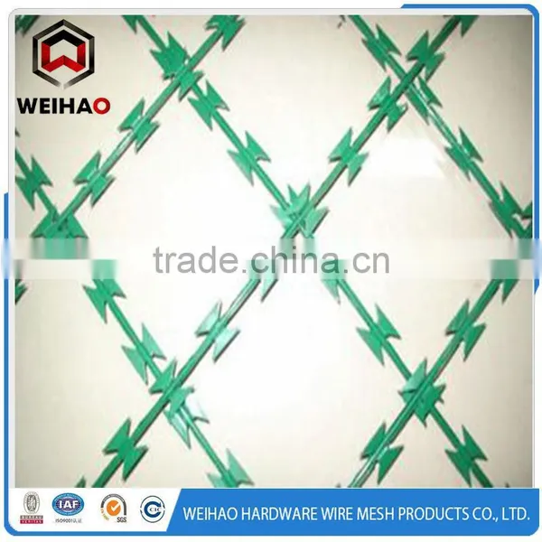 Sharp Barbed Wire photo-4