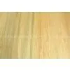 Supply Plywod photo-2